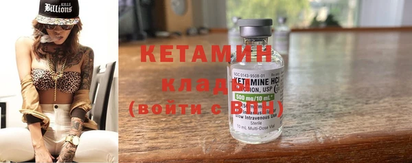 шишки Богородицк