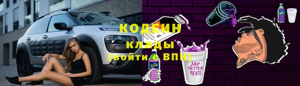шишки Богородицк