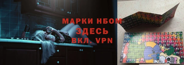 прущий лед Богданович