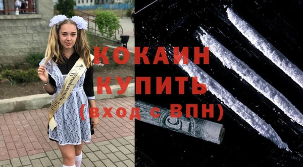 шишки Богородицк