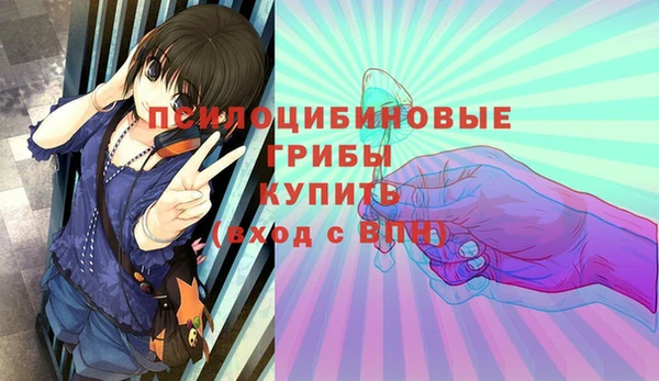 прущий лед Богданович