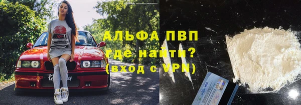 прущий лед Богданович