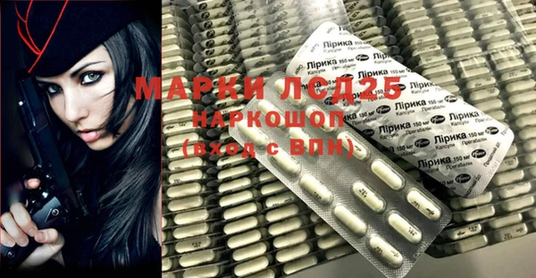 прущий лед Богданович